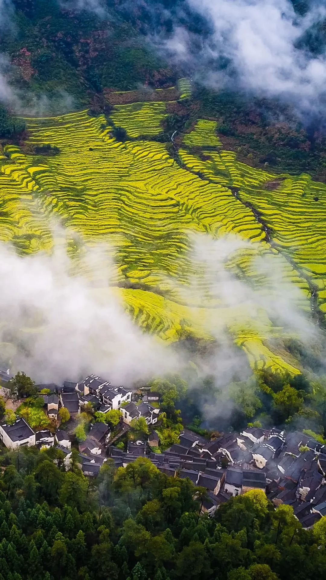 江西之旅，漫步自然，寻觅心灵静谧之地
