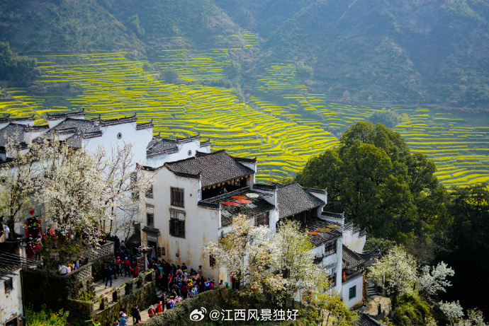 江西之旅,漫步自然,寻觅心灵静谧之地