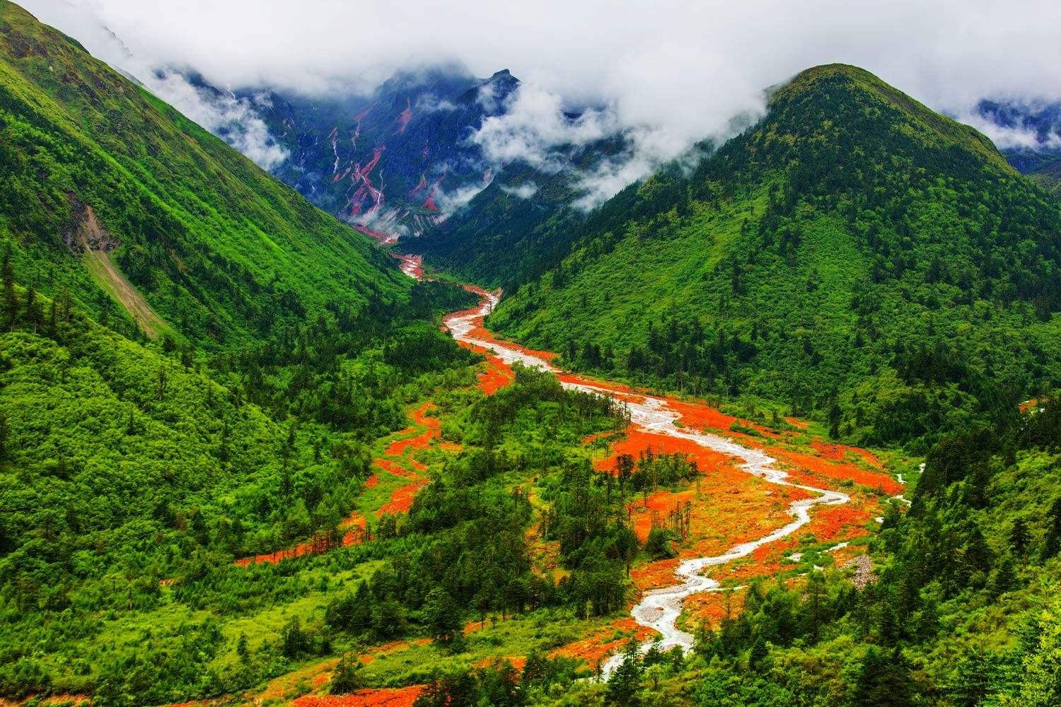 四川美食天堂，人间仙境的味蕾盛宴🍴
