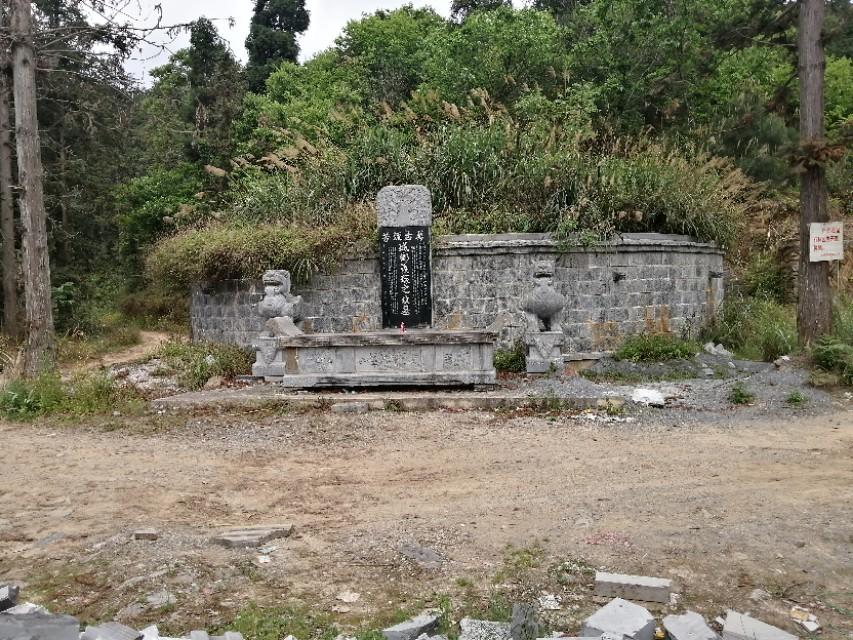 贵州绿色宝库，生态文明新篇章启航