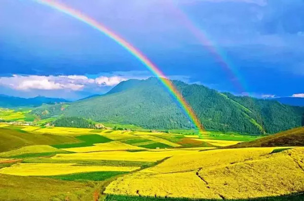 青海深巷中的秘密花园，探寻青海宝藏小店之谜